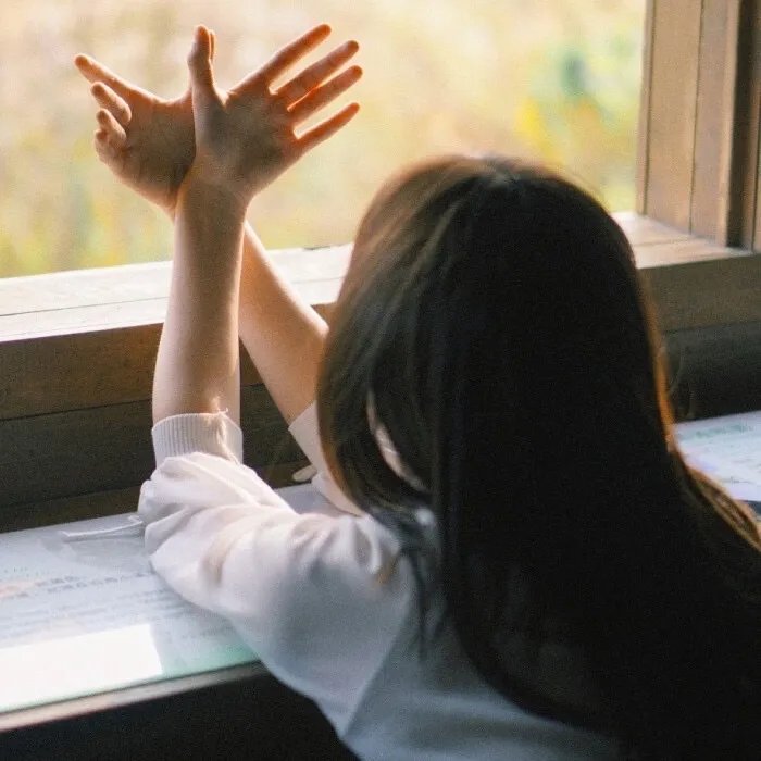 绝望主妇第二季